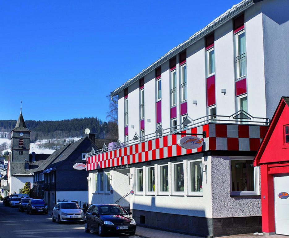 Hotel Garni Elegant Willingen  Buitenkant foto