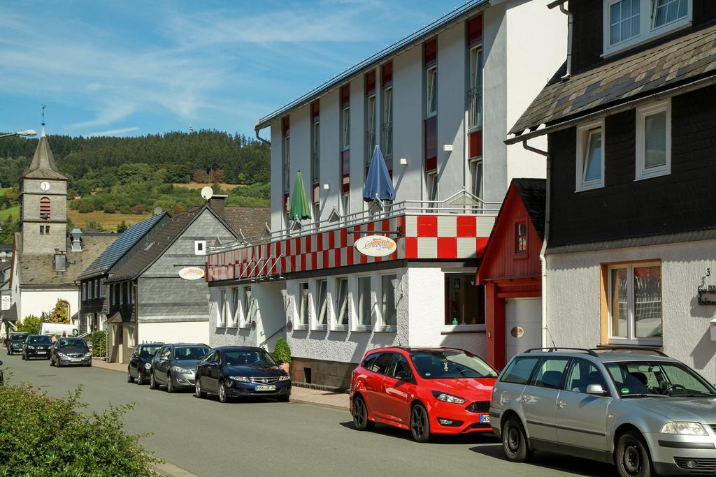 Hotel Garni Elegant Willingen  Buitenkant foto